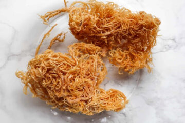 Discover the 8 Benefits of Sea Moss for Weight Loss