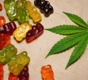 What You Should Know About CBD Gummies