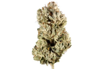 Best Places to Buy THCA Flower Near Me for Pain and Stress