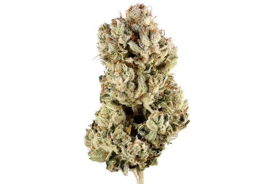 Best Places to Buy THCA Flower Near Me for Pain and Stress
