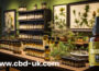 Why More Consumers Are Choosing To Shop CBD Online