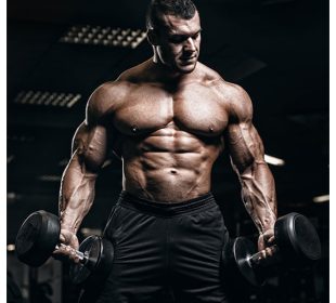 How RAD 140 Helps Build Muscle Assess the Gains and Health Risks