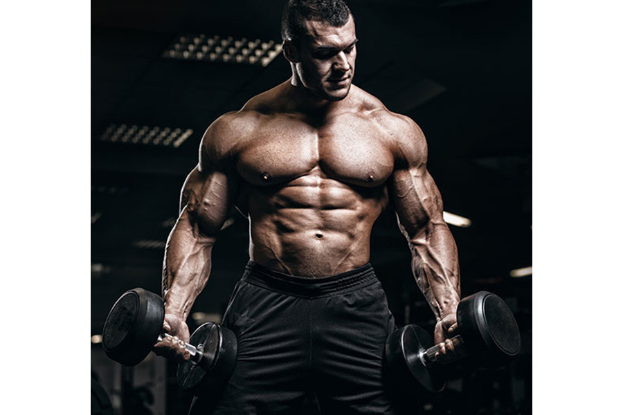 How RAD 140 Helps Build Muscle Assess the Gains and Health Risks